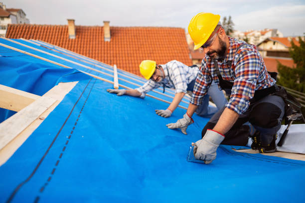 Best Metal Roofing Contractor  in Madison, NC