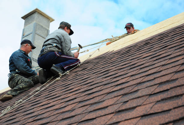 Best Storm Damage Roof Repair  in Madison, NC